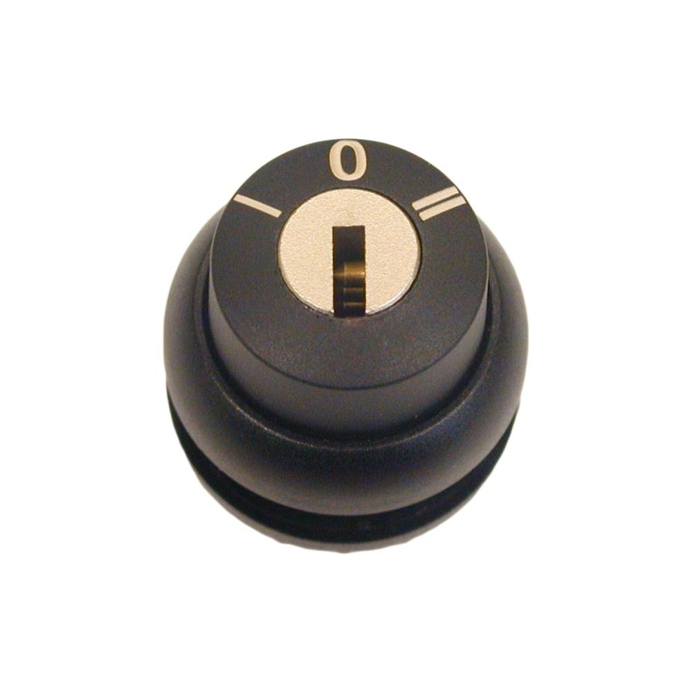 Eaton Schlüsseltaste 216897 Typ M22S-WS3-MS*