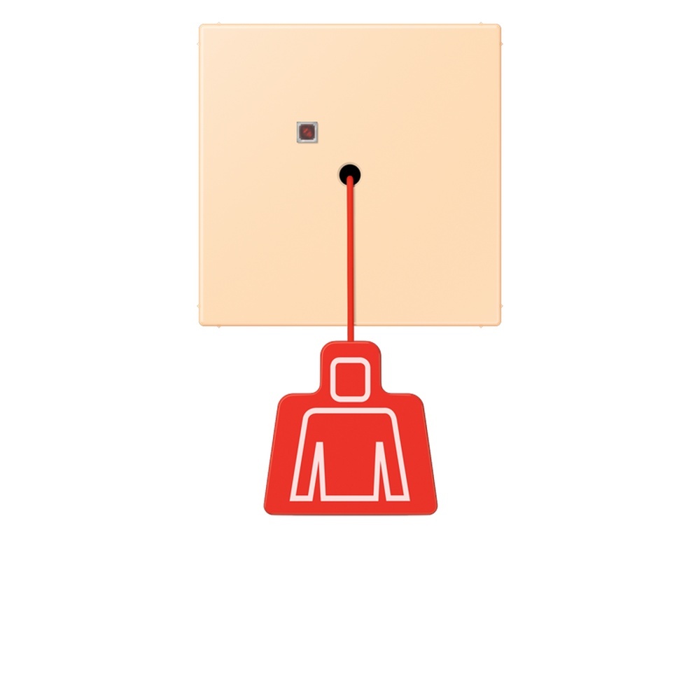 Jung Notrufsystem Zugtaster NRSLC0834ZT223
