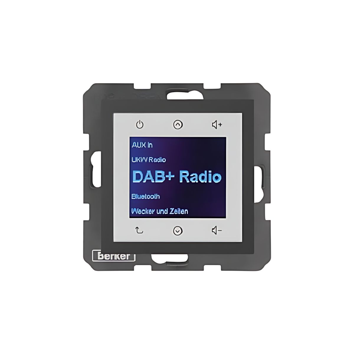 Berker Radio Touch 29841606