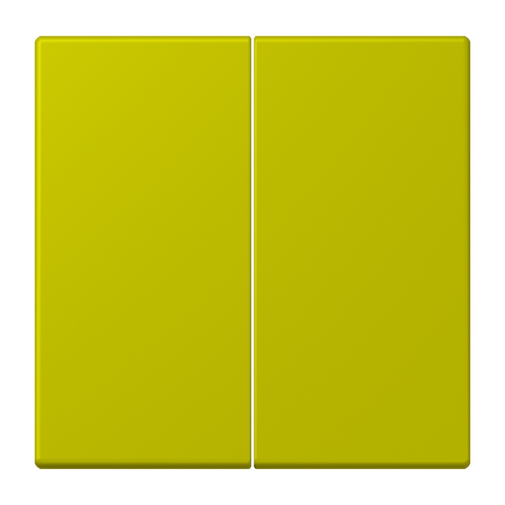 Jung Management Taster 2fach LC1702249