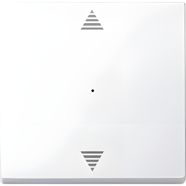 Merten Wippe 619425