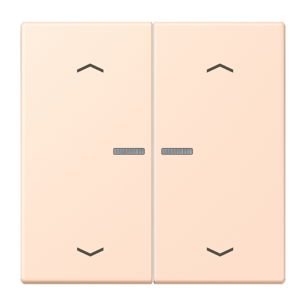 Jung JUNG HOME Taster BTLC17102P228