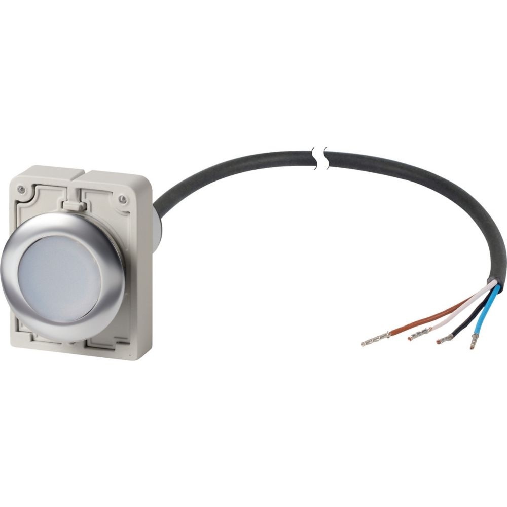 Eaton Drucktaste 185959 Typ C30C-FD-W-K10-P65