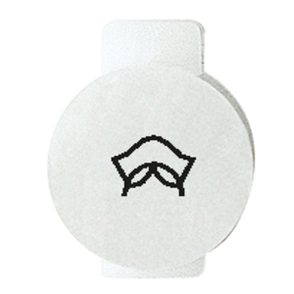 Gewiss System Symbol GW20542