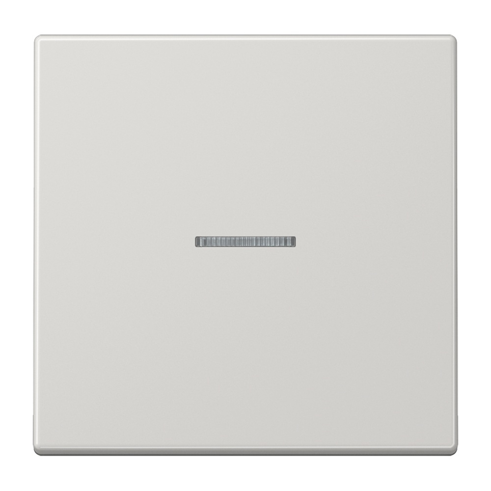 Jung Wippe m. Lichtleiter LS101KO5LG