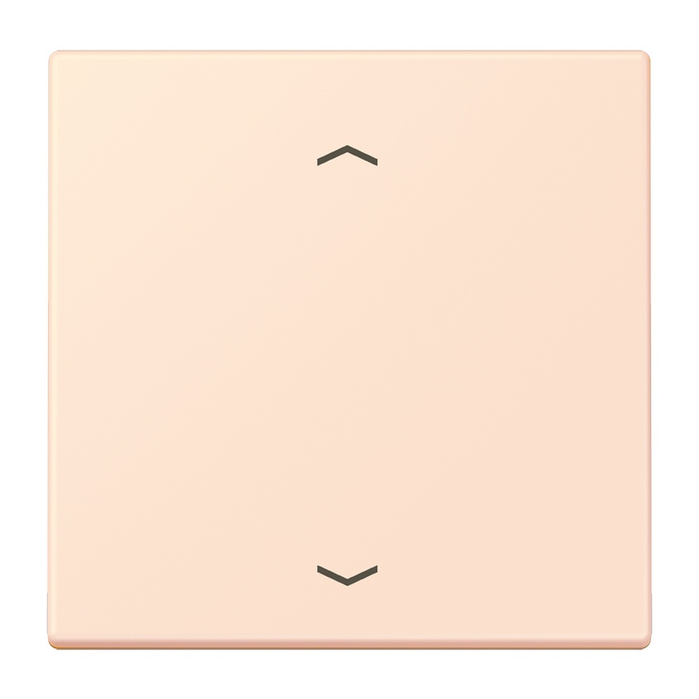 Jung Management Taster 1fach LC1700P226