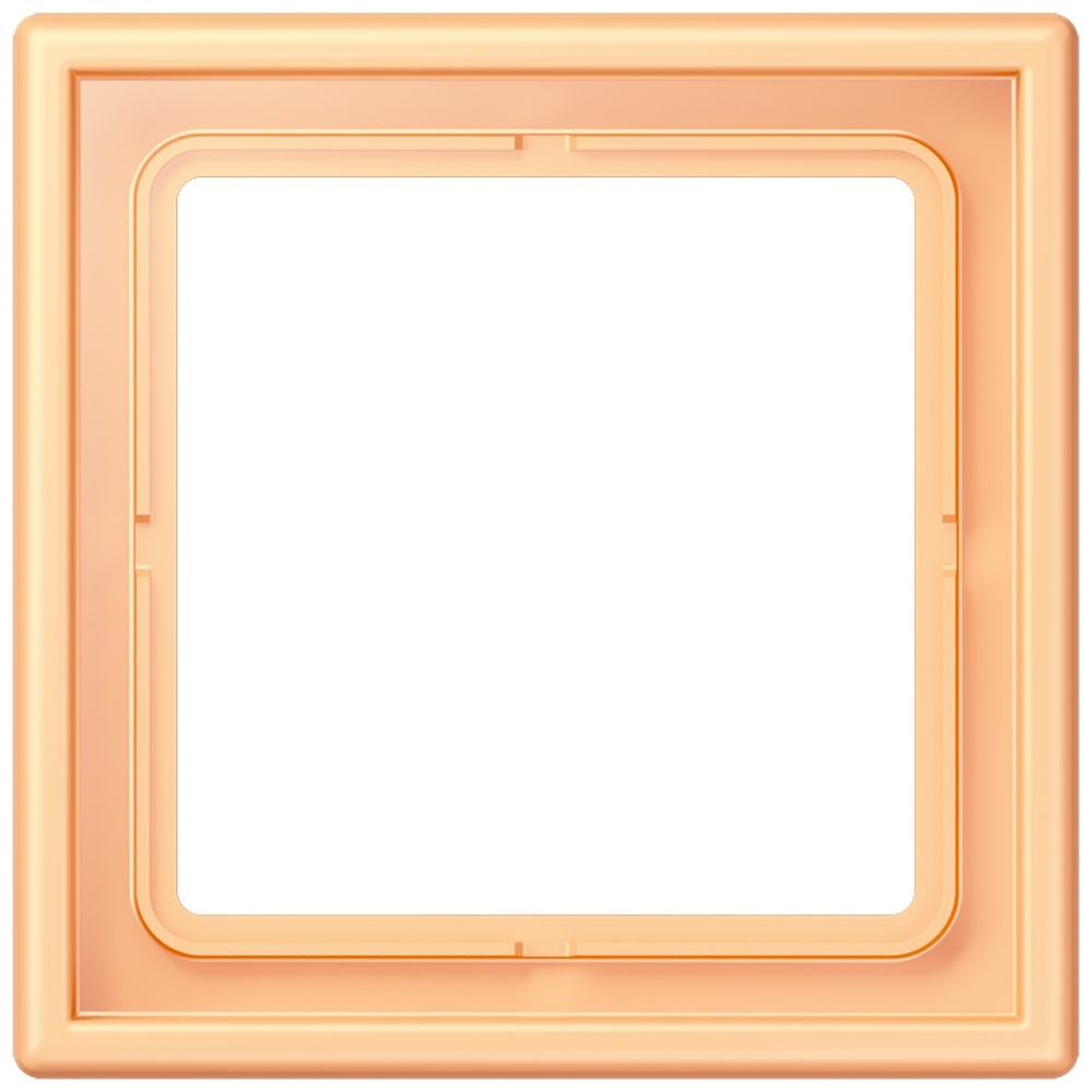 Jung Rahmen LC981258