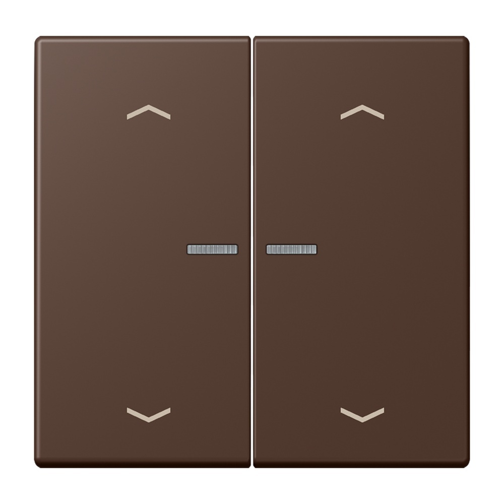 Jung JUNG HOME Taster BTLC17102P239