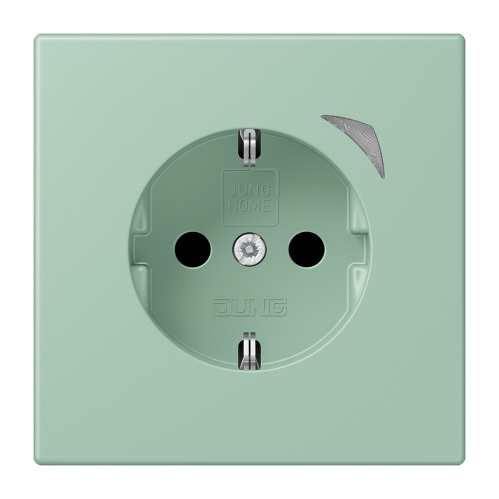 Jung JUNG HOME SCHUKO Steckdose BTLC1521SE217