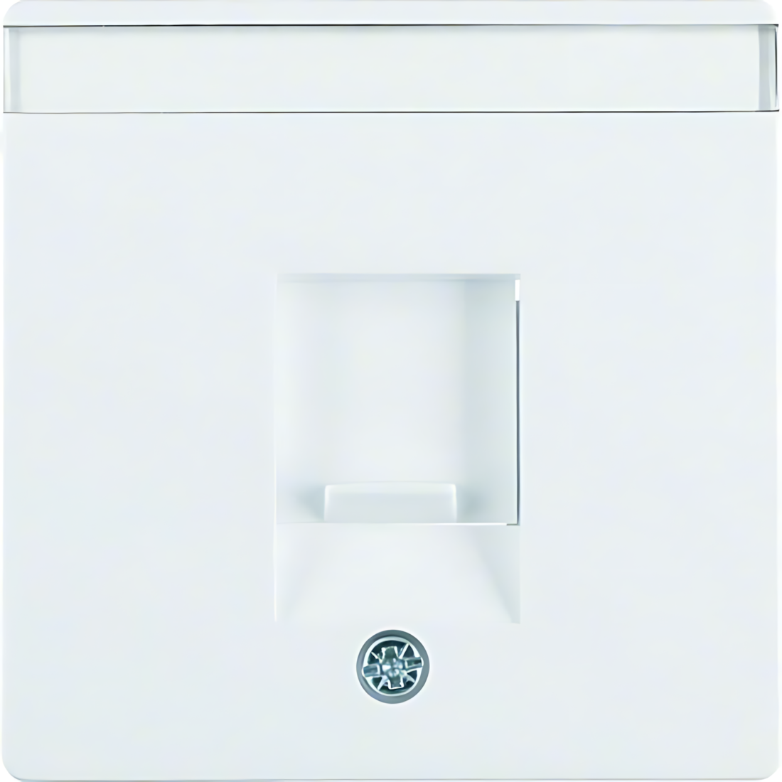 Berker Zentralstück 11706089 Berker Zentralstück 11706089