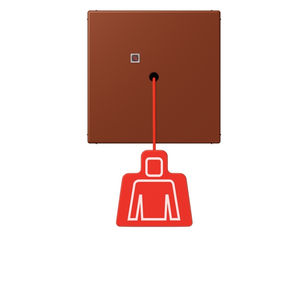 Jung Notrufsystem Zugtaster NRSLC0834ZT247