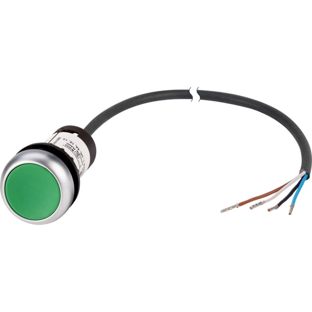 Eaton Drucktaste 185616 Typ C22-D-G-K10-P65