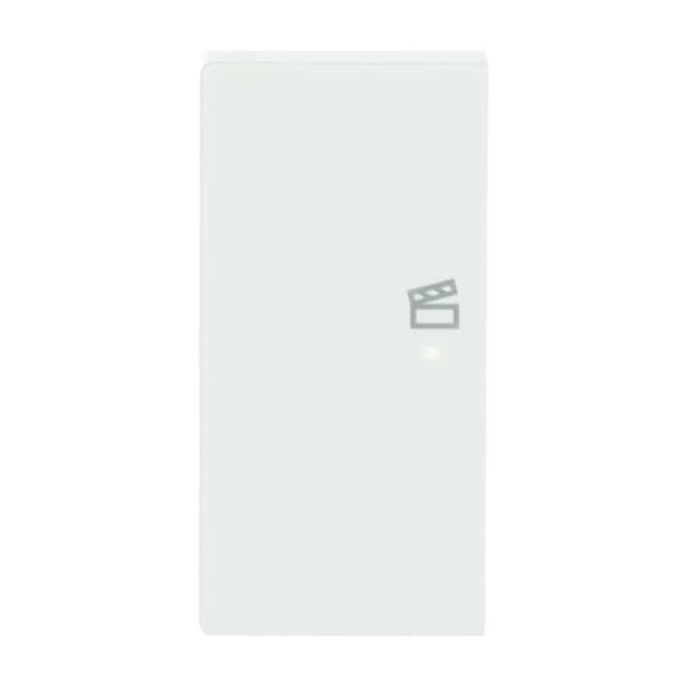 Busch-Jaeger Wippe 6233-21-84 Nr. 2CKA006220A0058