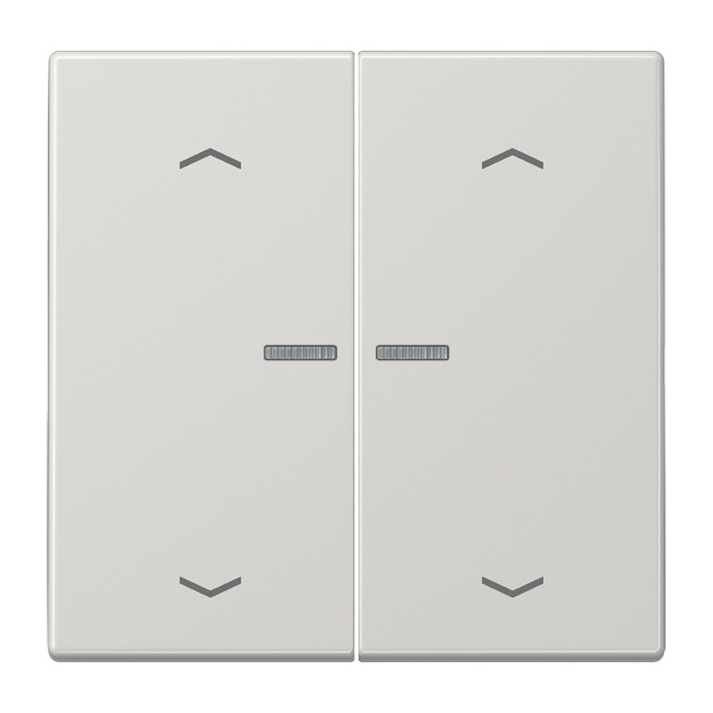 Jung Serienwippe m. Lichtleiter LS102KO5PLG