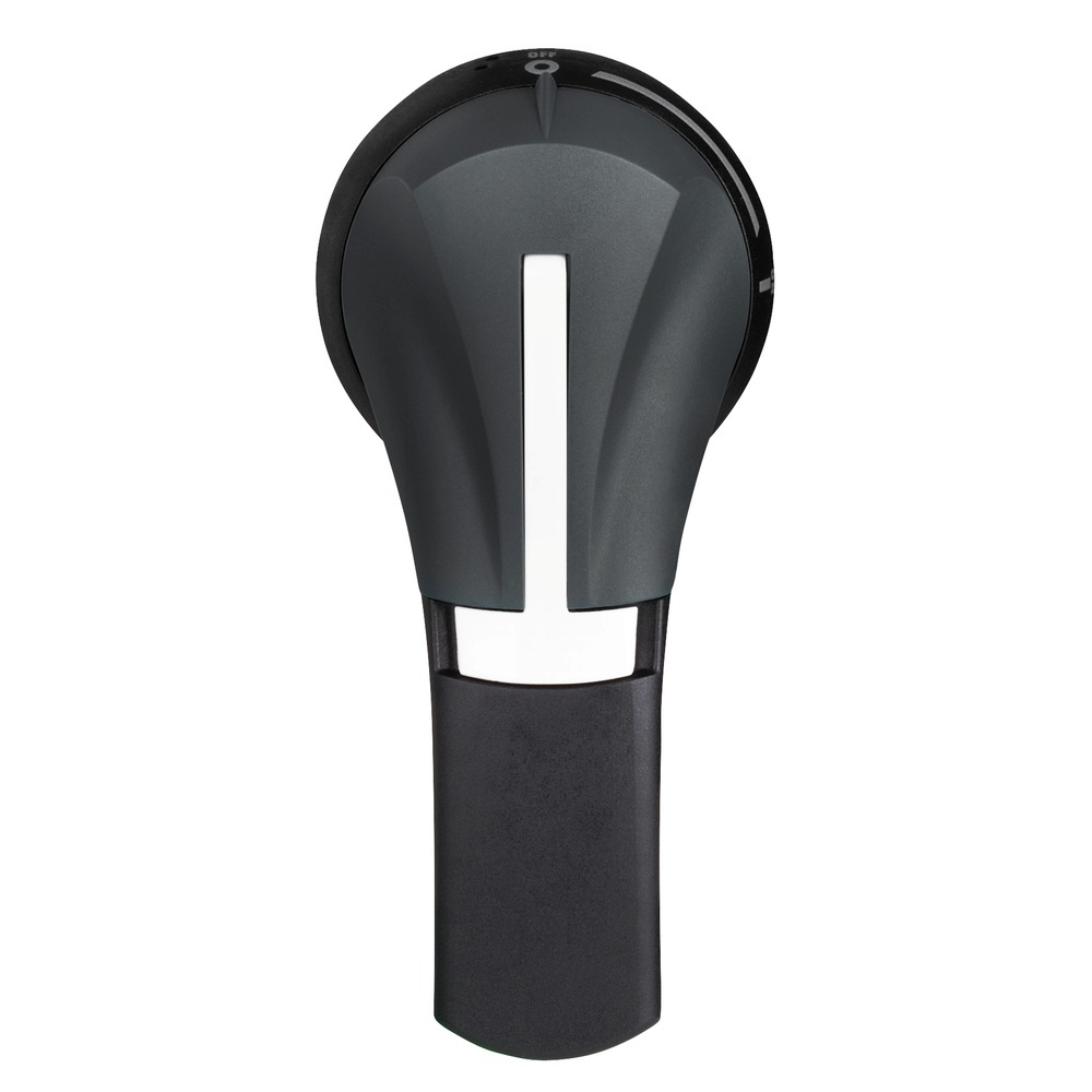 Schneider Electric Antriebshebel GS2AH235