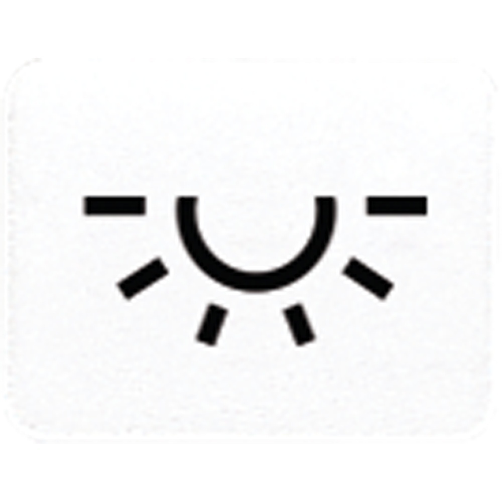 Jung Symbol Licht 33 L WW