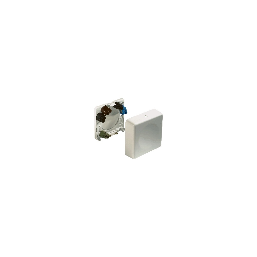 ABL Sursum Anschlussdose 2505010