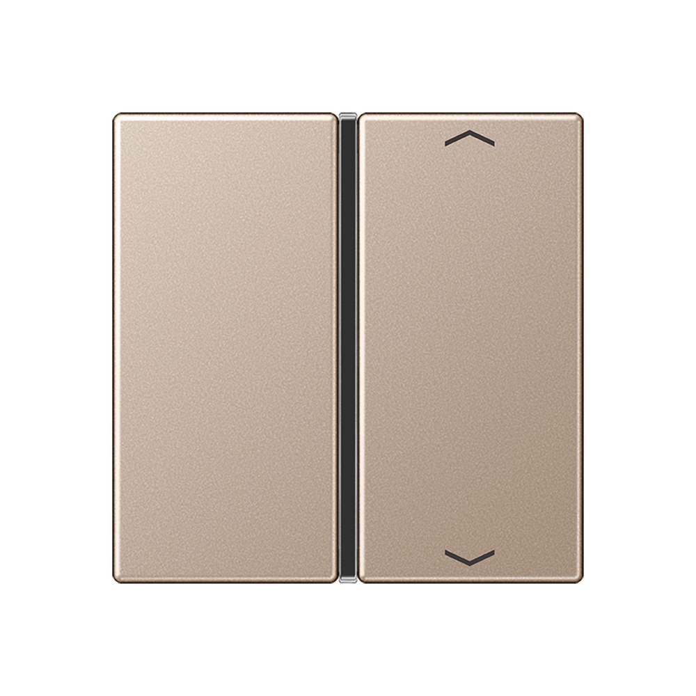 Jung Taste 1fach A 401 TSAP CH Jung Taste 1fach A 401 TSAP CH