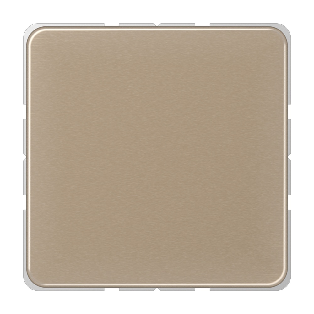 Jung Blindabdeckung CD 594-0 GB