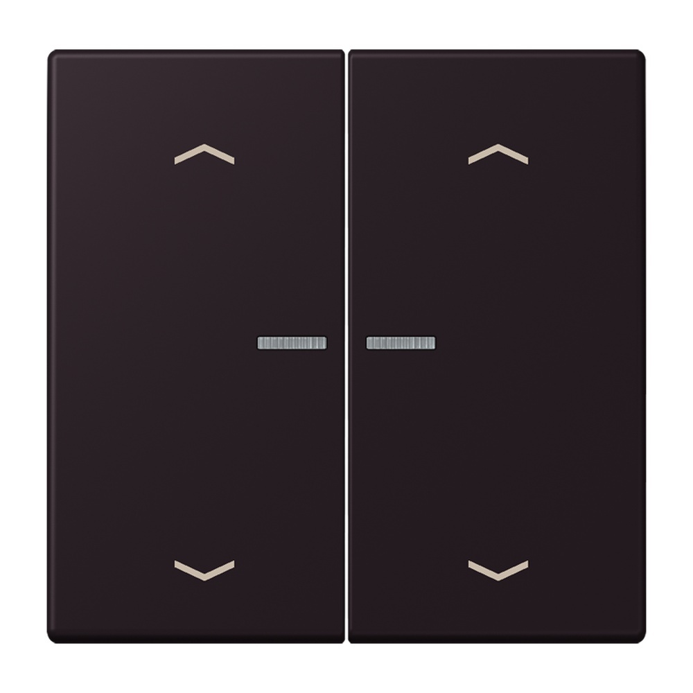 Jung JUNG HOME Taster BTLC17102P248