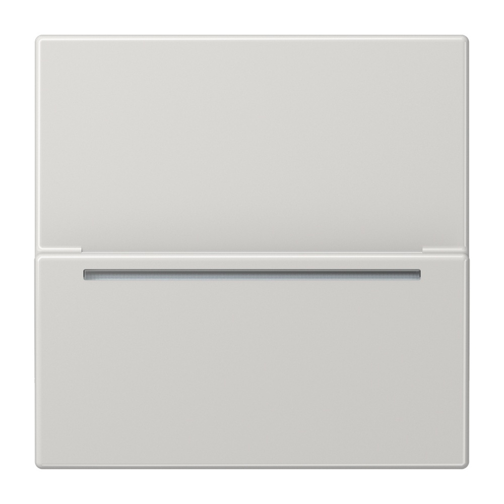 Jung Hotelcard Schalter LSCARDRFIDLG Jung Hotelcard Schalter LSCARDRFIDLG