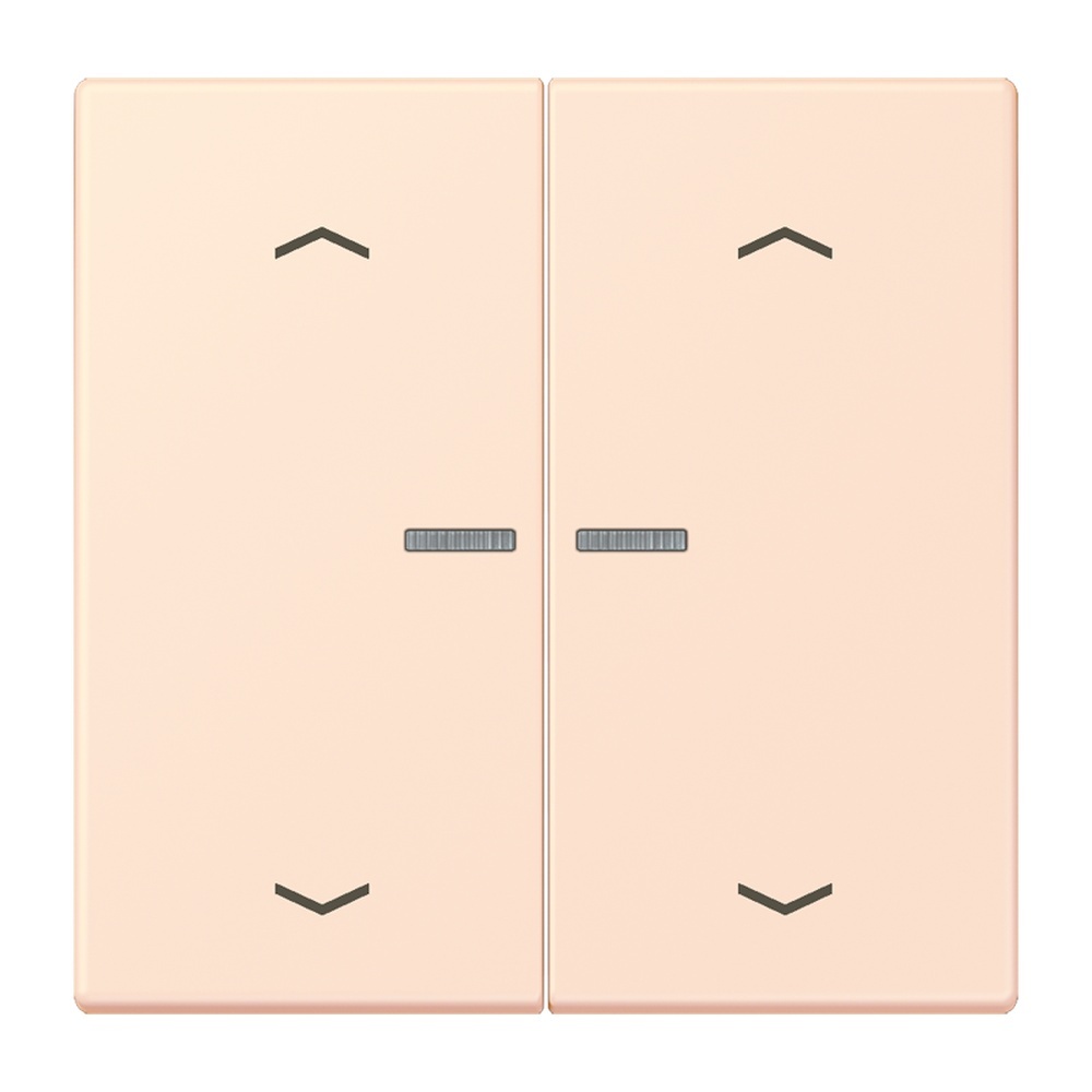 Jung JUNG HOME Taster BTLC17102P226