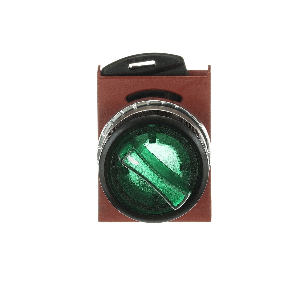 ABB Frontelement für Wahlschalter 1SFA184592R9102 Typ P9MSLD0V