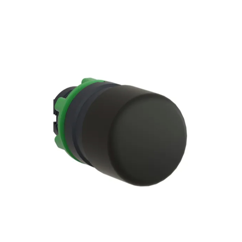 Schneider Electric Frontelement ZB5AC24