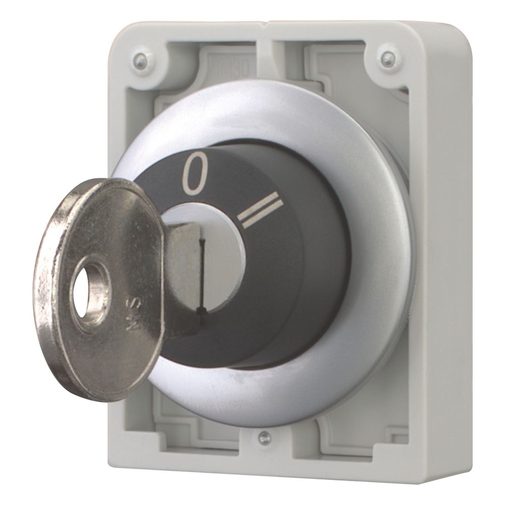 Eaton Schlüsseltasten 187096 Typ M30C-FWRS3-MS -A