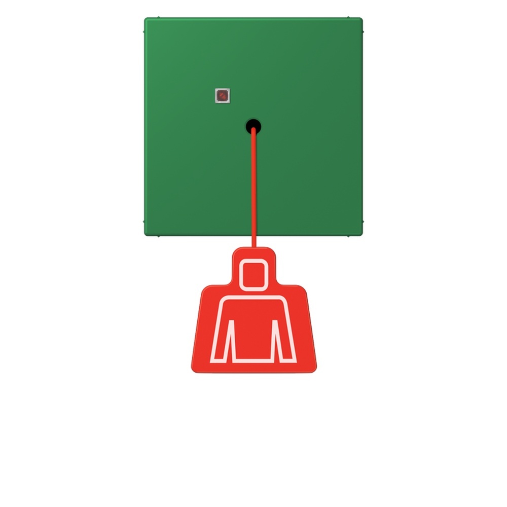 Jung Notrufsystem Zugtaster NRSLC0834ZT219