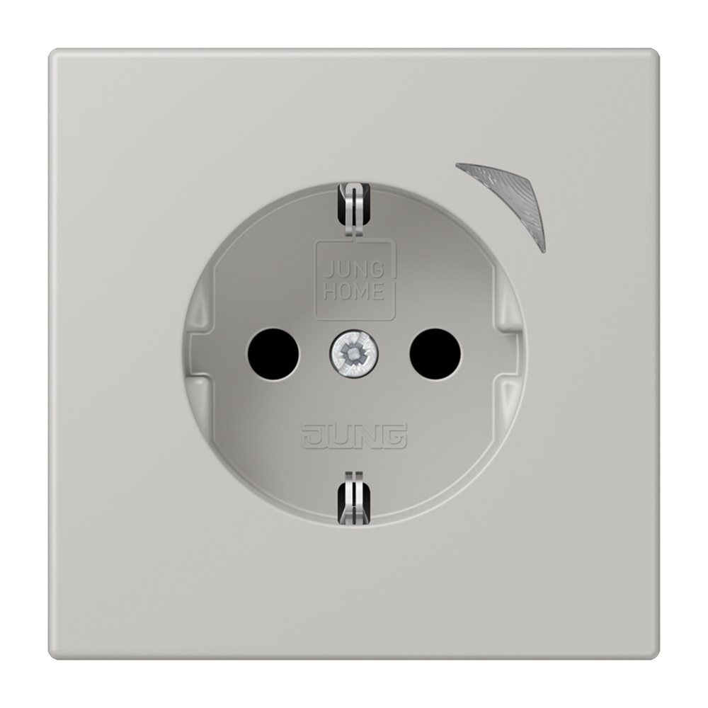 Jung JUNG HOME SCHUKO Steckdose BTLC1521SE205