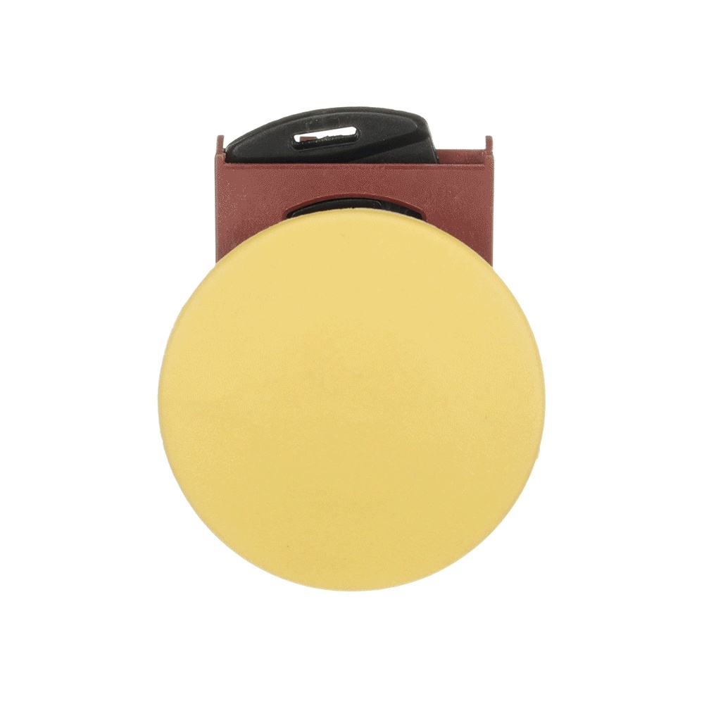 ABB Frontelement für Drucktaster 1SFA184043R9003 Typ P9MEM4GN