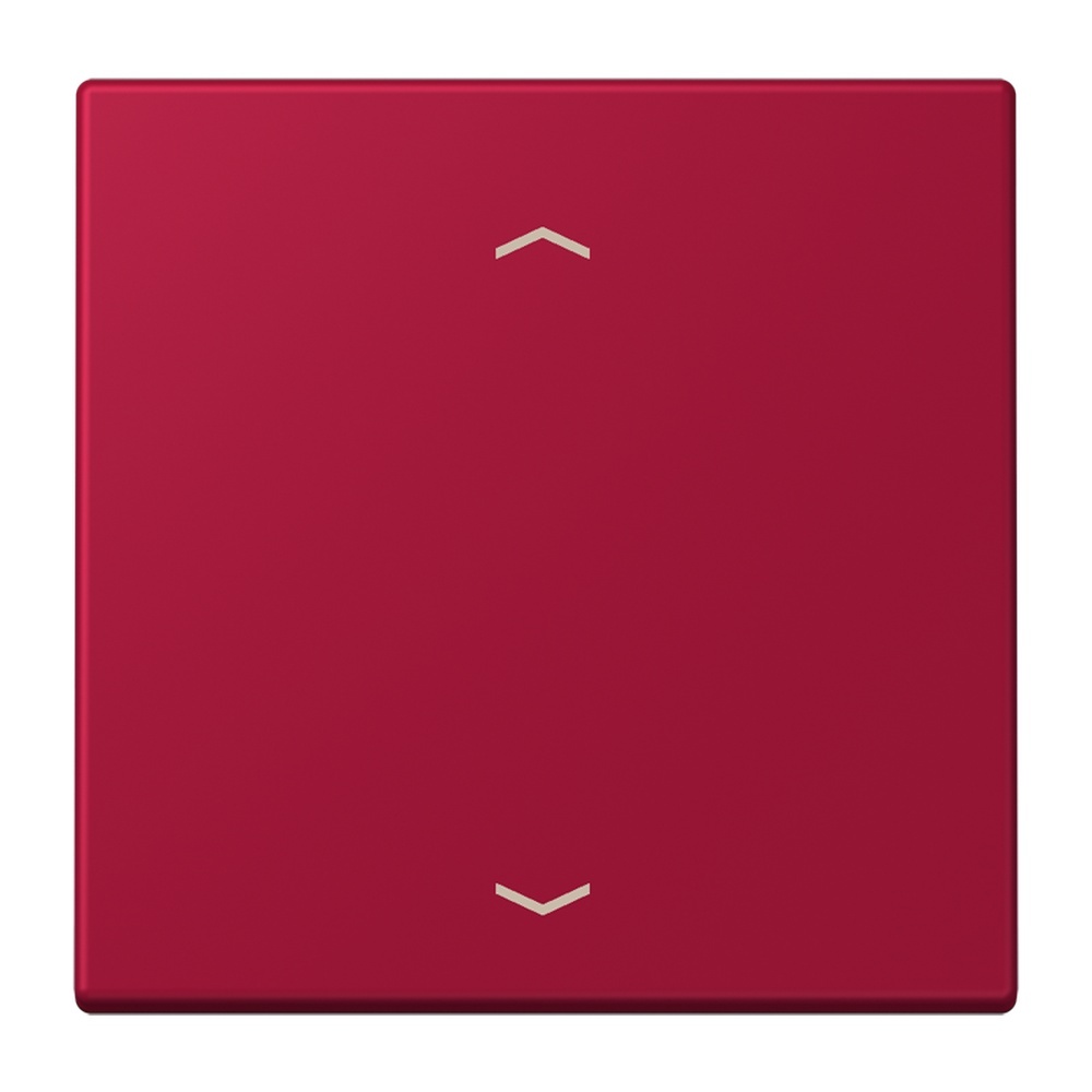 Jung Management Taster 1fach LC1700P229