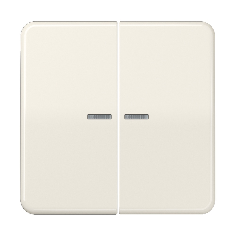 Jung Wippe CD 595 KO5BF