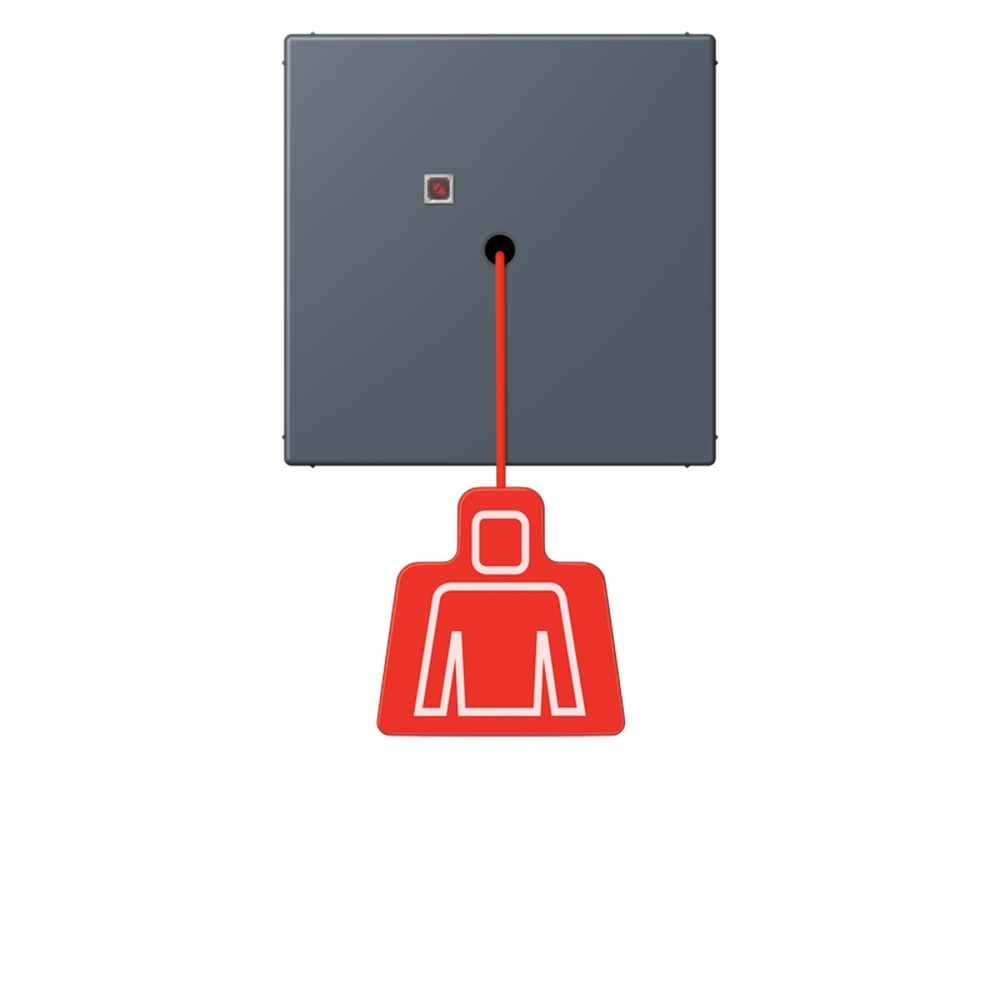 Jung Notrufsystem Zugtaster NRSLC0834ZT262