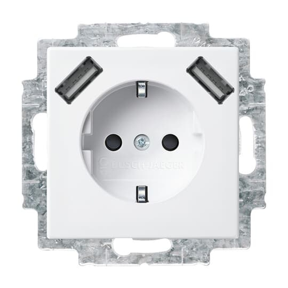 Busch-Jaeger Schuko USB Steckdose 20 EUCB2USB-914 Nr. 2CKA002011A6266