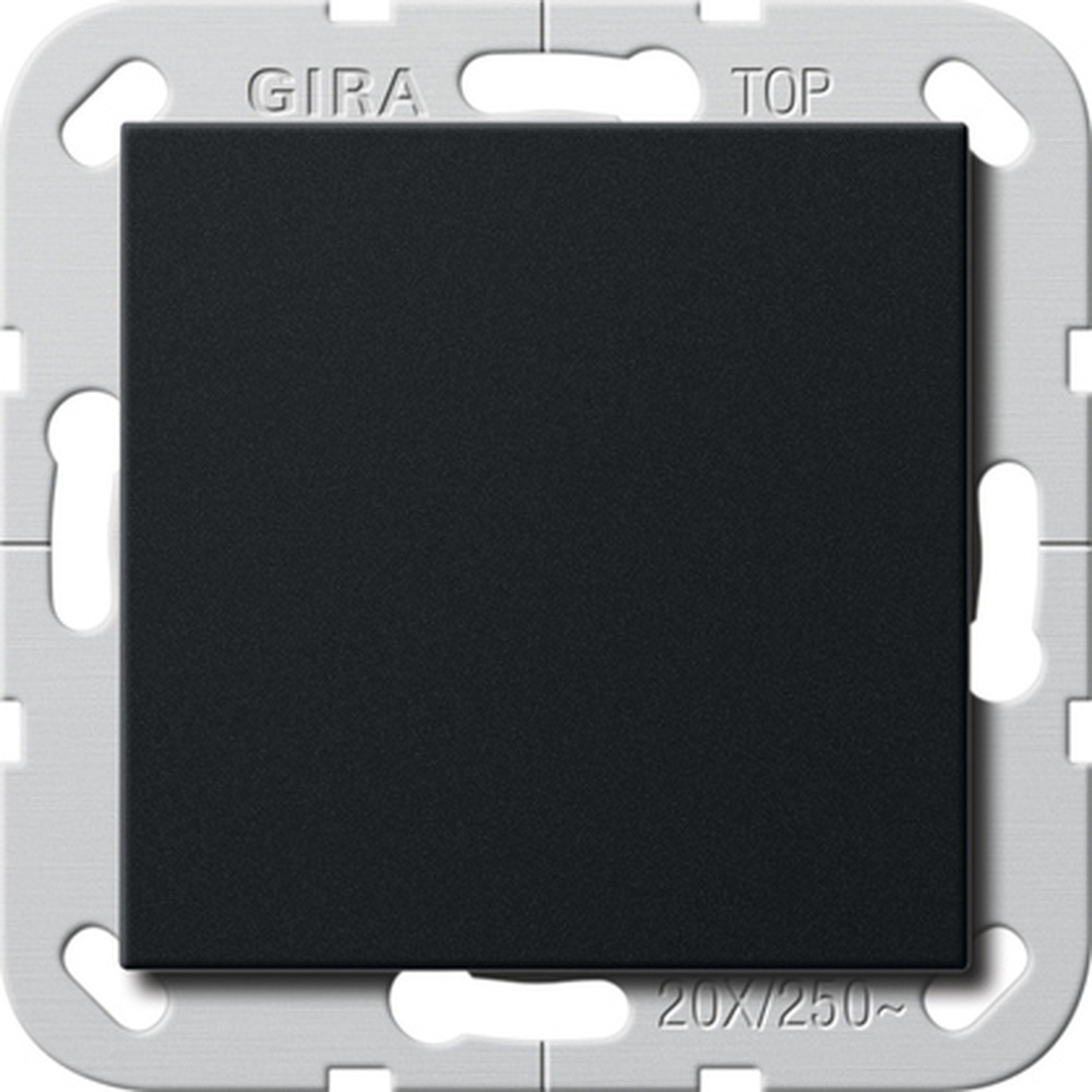 Gira Wippschalter 2836005
