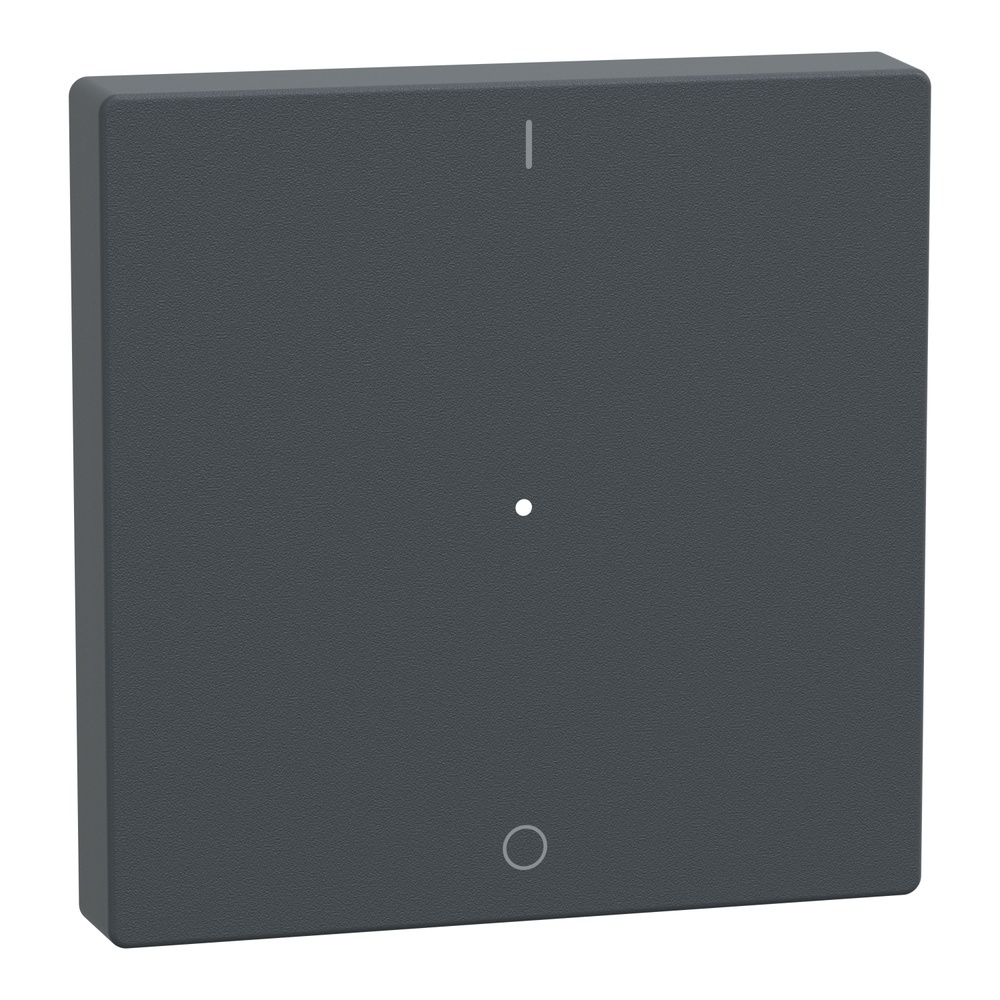 Merten Wippe MEG5211-0414