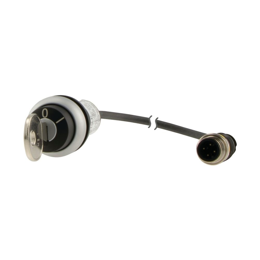 Eaton Schlüsseltaste 186199 Typ C22-WRS-MS1-K10-P1