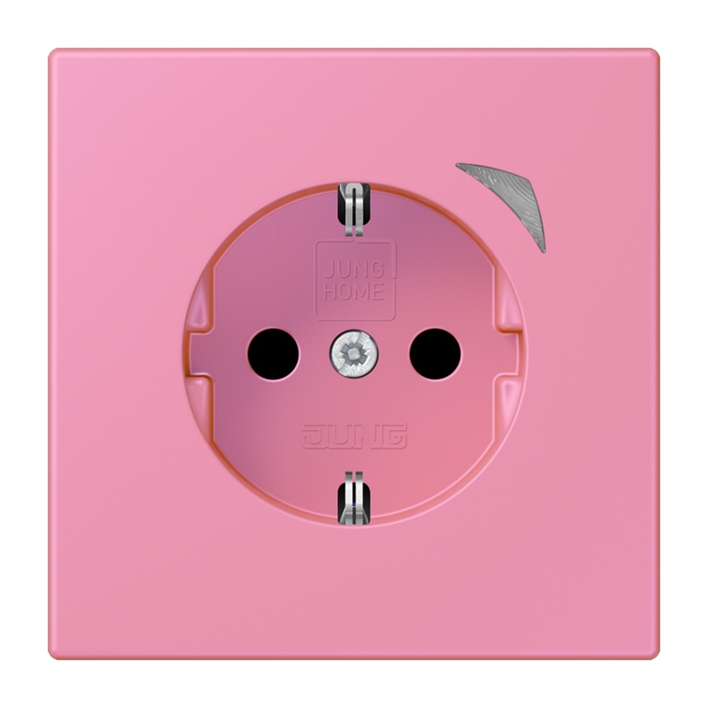 Jung JUNG HOME SCHUKO Steckdose BTLC1521SE246