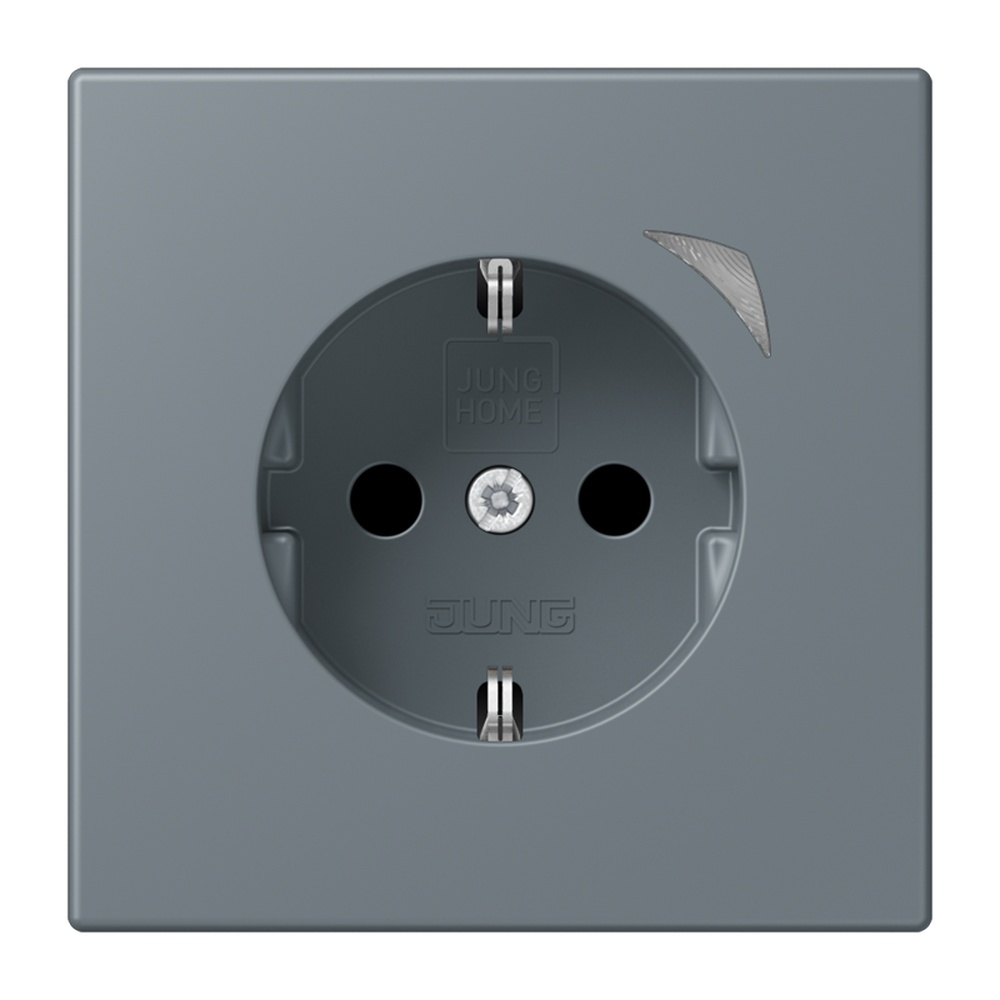 Jung JUNG HOME SCHUKO Steckdose BTLC1521S251