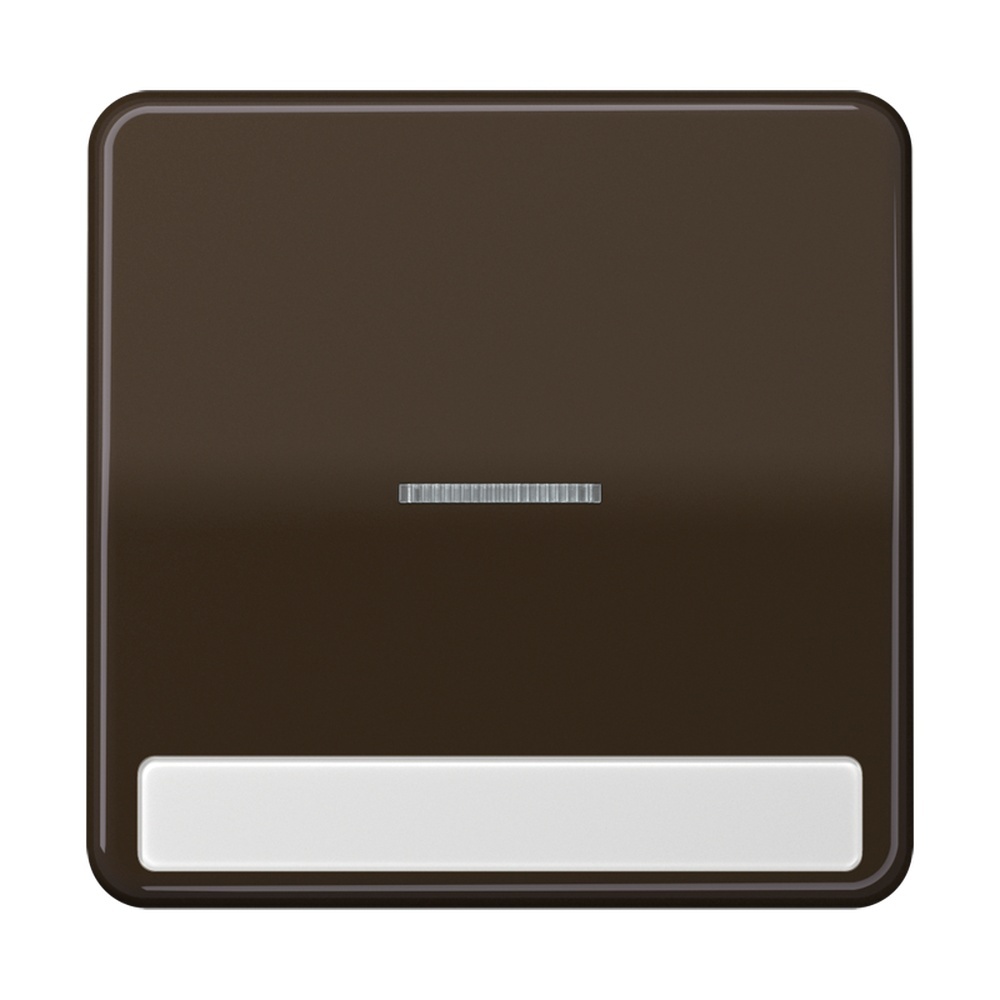 Jung Wippe CD 590 NAKO5 BR
