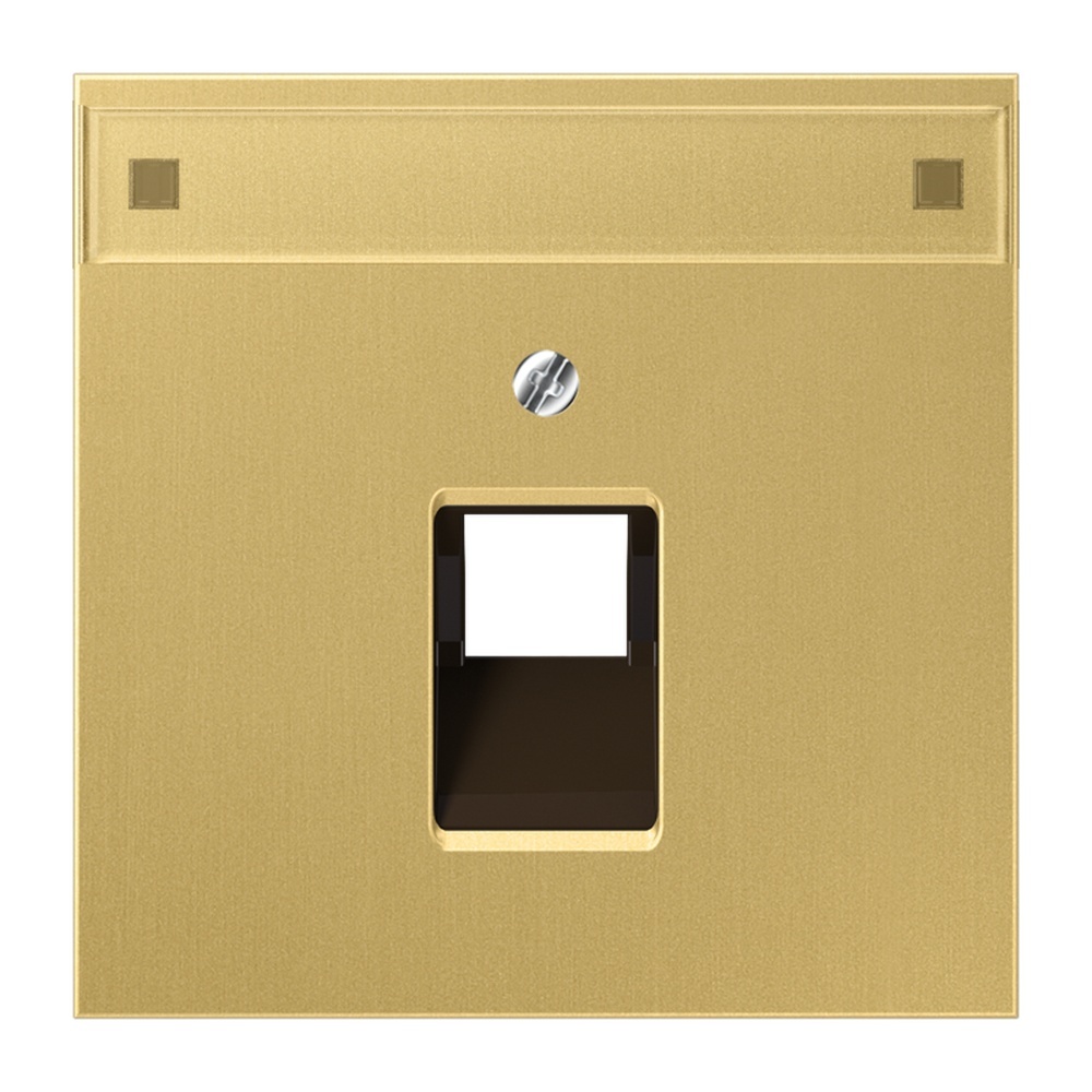 Jung Abdeckung IAE/UAE ME 2969-1 NAUA C