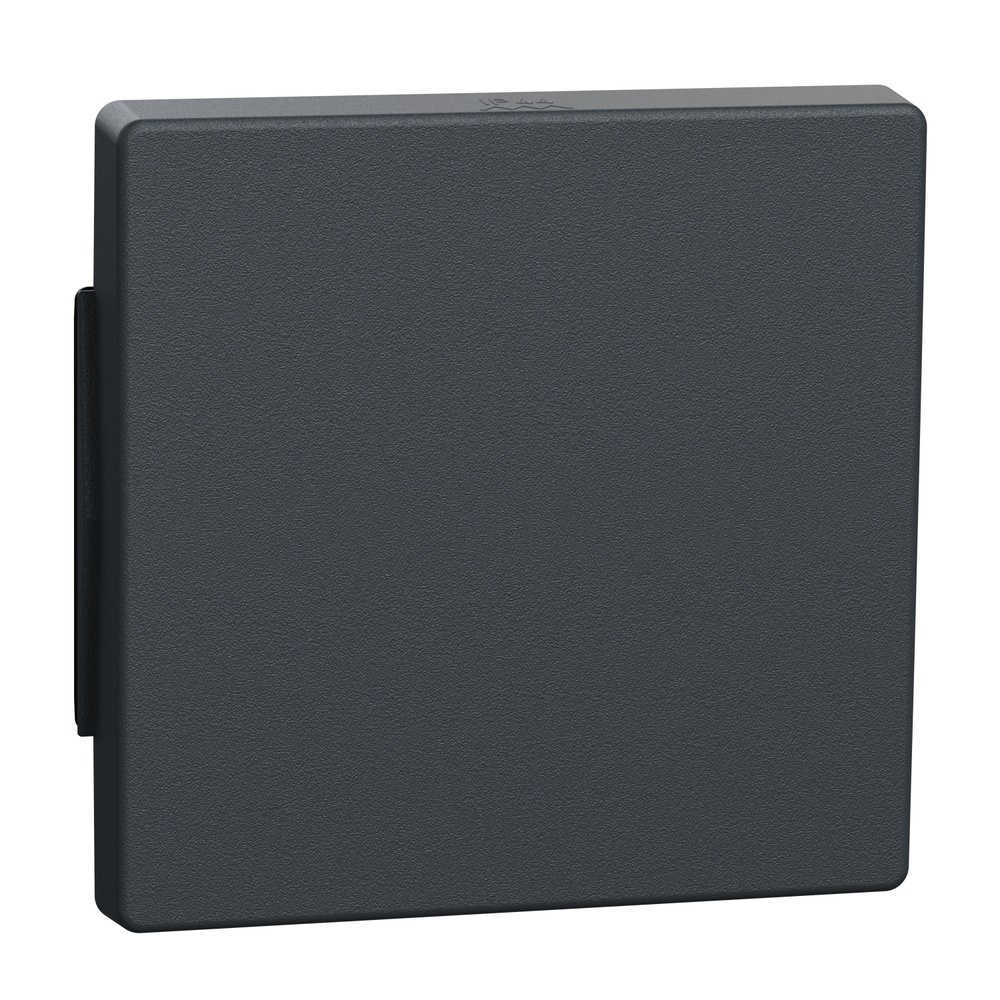 Merten Wippe 343114