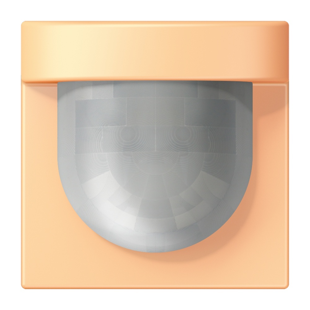 Jung Management Bewegungsmelder LC17280258