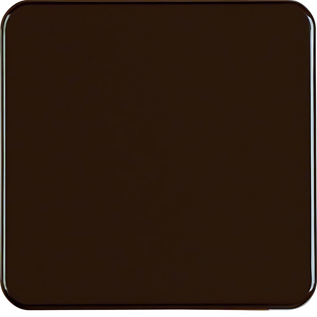 Berker Wippe 155001