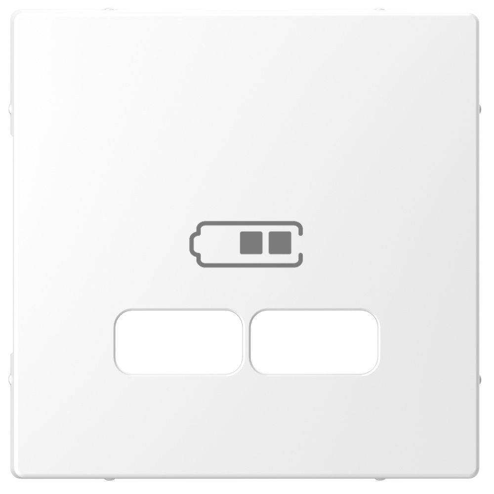Merten Zentralplatte für USB Ladestation Einsatz MEG4367-6035