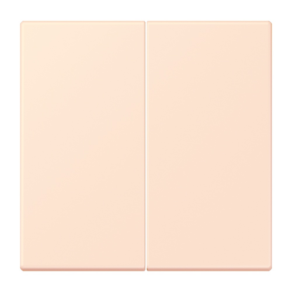 Jung Management Taster 2fach LC1702226