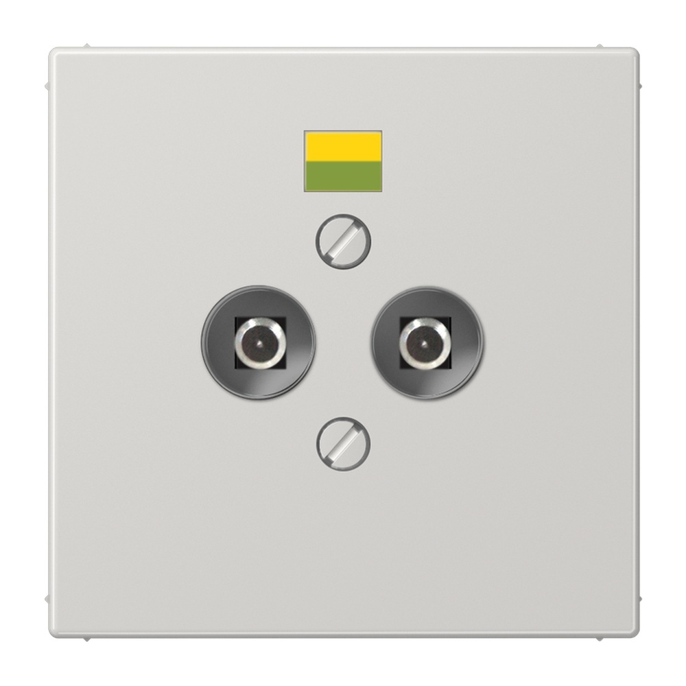 Jung Potentialausgleich Steckdose LS 965-2 LG