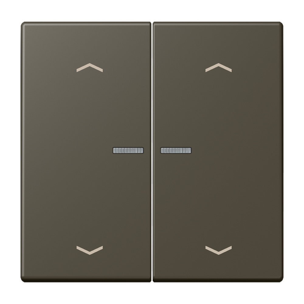 Jung JUNG HOME Taster BTLC17102P241